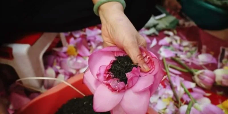 Trà Sen Ướp Tươi