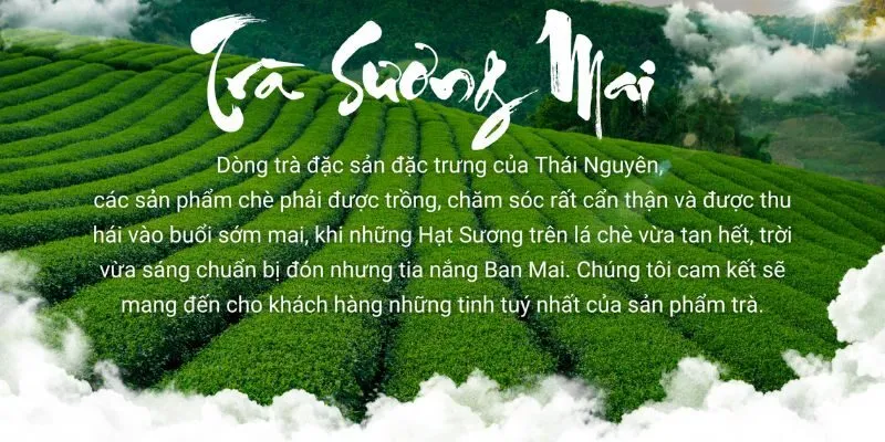 Hướng dẫn pha Trà Sen Ướp Tươi