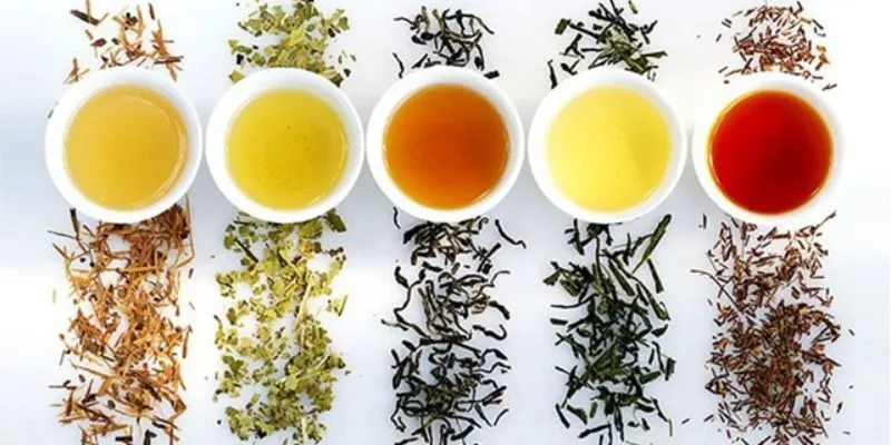 Hướng dẫn pha Trà Sen Ướp Tươi