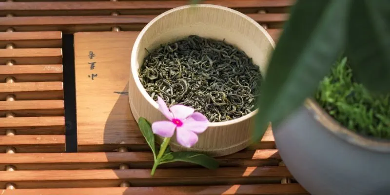 Trà Búp Móc Câu 500gram