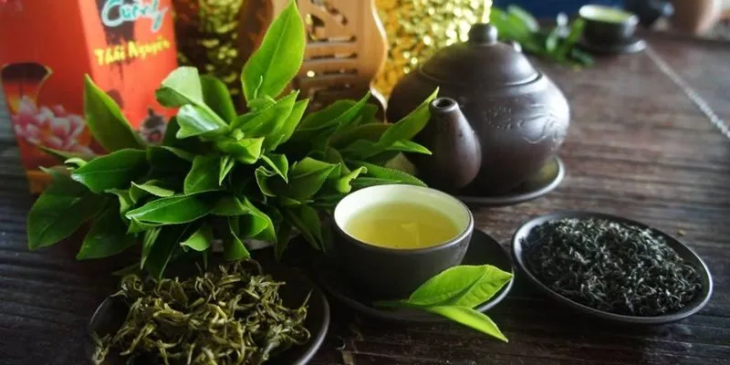 Trà Búp Móc Câu 100gram