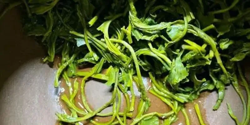 Trà Búp Tôm Một Lá 200gram