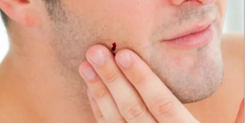 Mẹo quá hay ho về Trà Túi Lọc