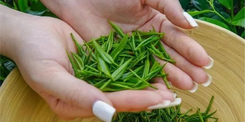 Trà Đinh Thượng Hạng 100gram