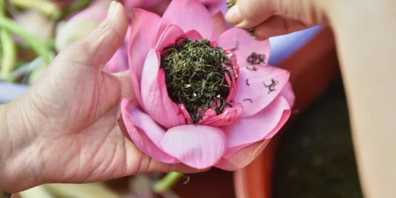 Trà Sen Ướp Tươi