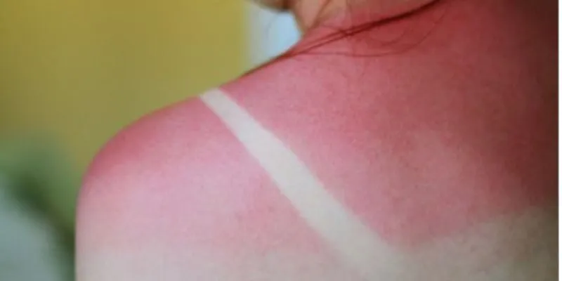 Mẹo quá hay ho về Trà Túi Lọc