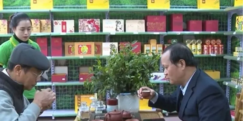 Khai trương Showroom Trà Tân Cương