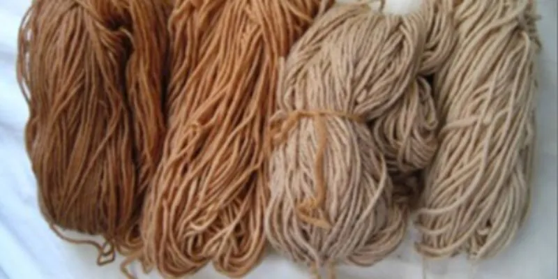 Mẹo quá hay ho về Trà Túi Lọc