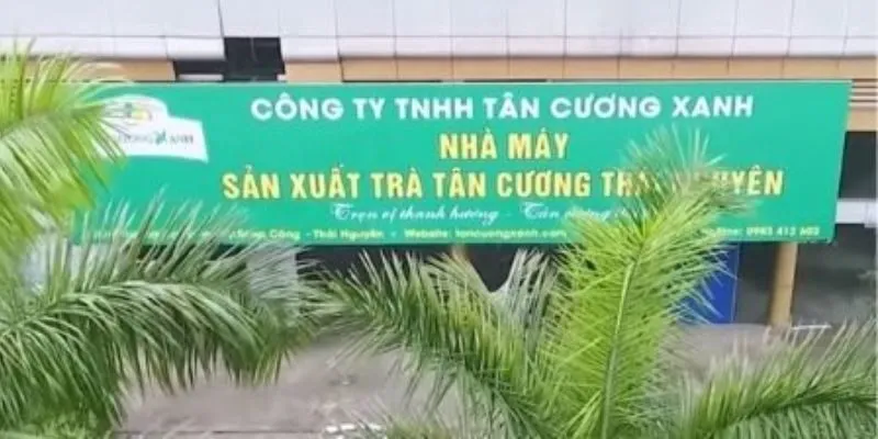 Khai trương Showroom Trà Tân Cương