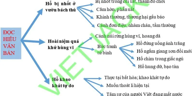 Tư duy của cháu học lớp 8, bạn tin không? Sự thật đấy