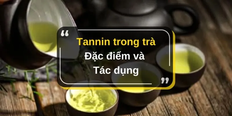 Tanin Trà Sương Mai có tác dụng