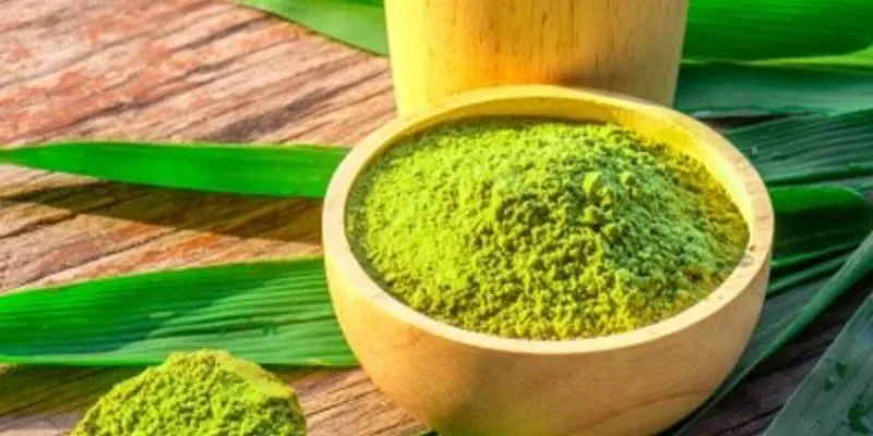 Lọ Matcha trà xanh 