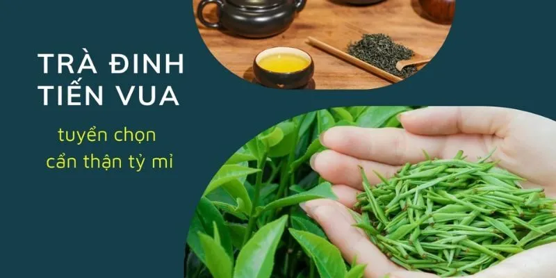 Trà Đinh Thượng Hạng 200gram