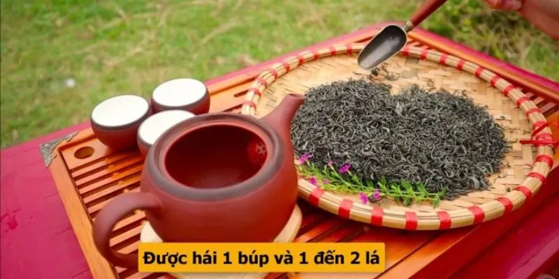 Trà Nõn Cao Cấp 200gram