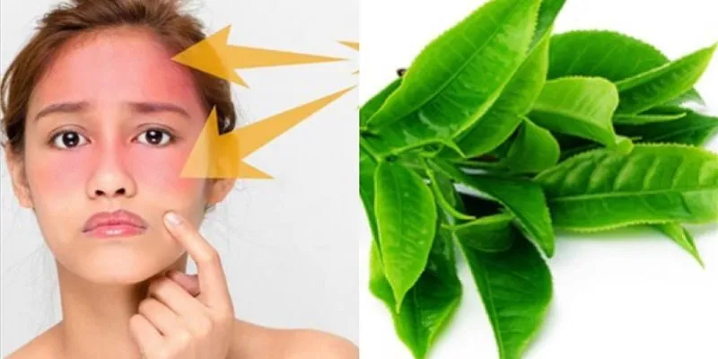 Công dụng của Bột trà xanh Sương Mai đối với làn da