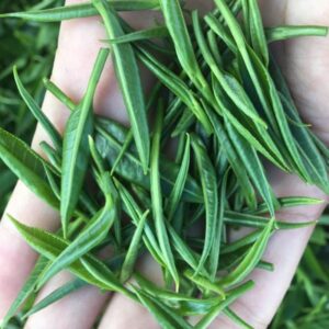 Trà Đinh Thượng Hạng 100gram